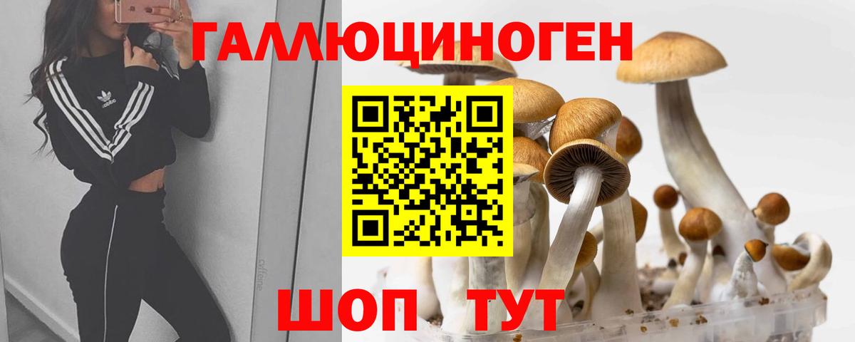 Галлюциногенные грибы Magic Shrooms Кувандык